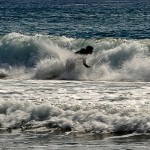Del Vento Alessandro - Surf