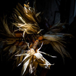Roberto Reggiani - “Corn-U-Copia”