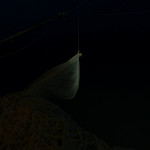 Alessandro Gastaldi - “Pesca notturna”
